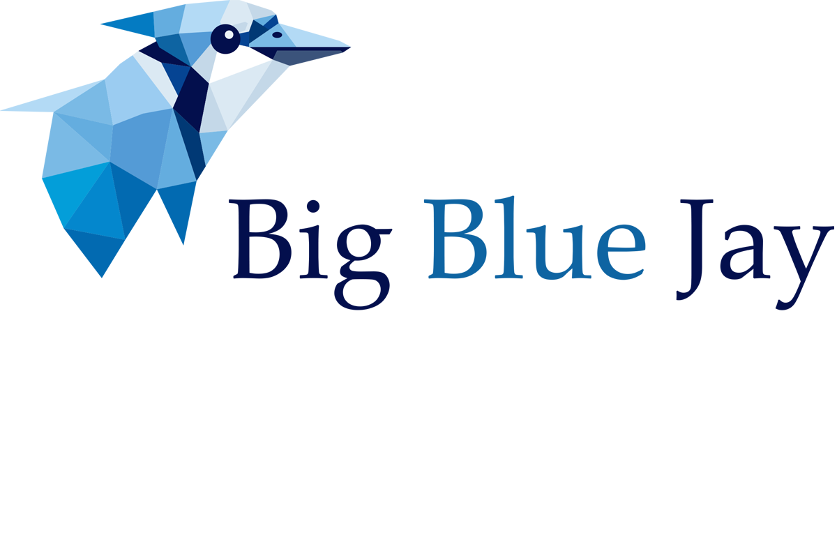 Big Blue Jay